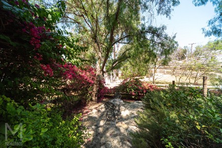 Enlarge photo 146