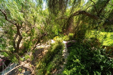 Enlarge photo 153
