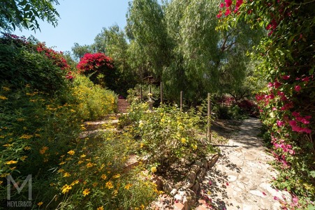 Enlarge photo 154