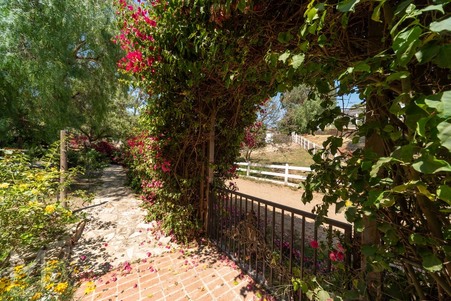 Enlarge photo 155