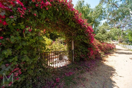 Enlarge photo 156