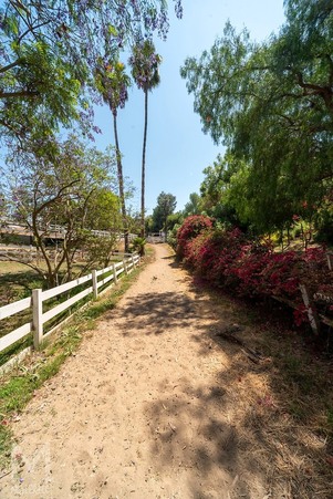 Enlarge photo 158