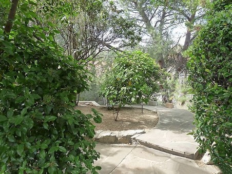 Enlarge photo 59