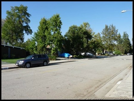 Enlarge photo 71