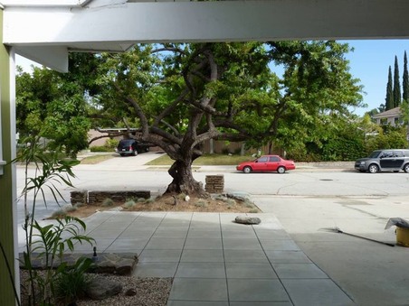Enlarge photo 28