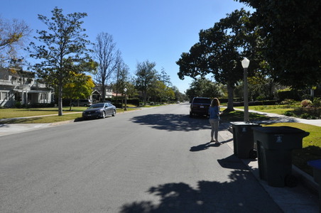 Enlarge photo 46