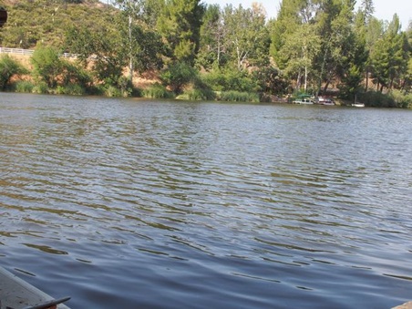 Enlarge photo 23