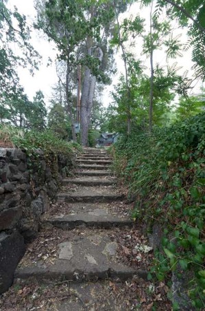 Enlarge photo 64