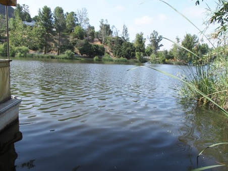 Enlarge photo 23