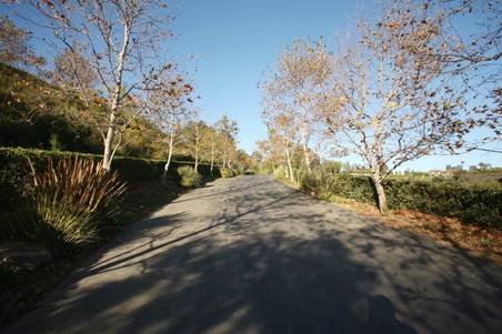 Enlarge photo 28