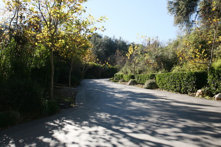 Enlarge photo 29