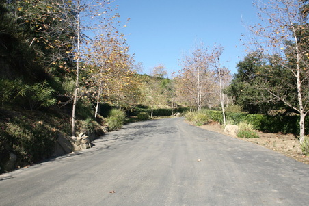 Enlarge photo 30
