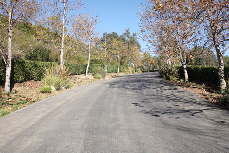 Enlarge photo 31