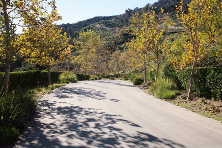 Enlarge photo 32