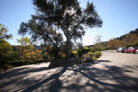 Enlarge photo 33