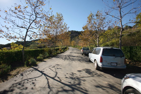Enlarge photo 34
