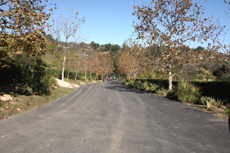 Enlarge photo 35