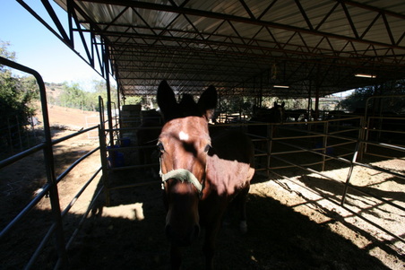 Enlarge photo 67