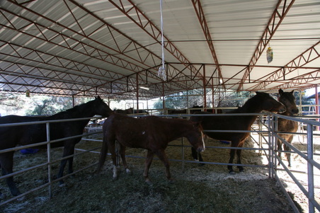 Enlarge photo 68