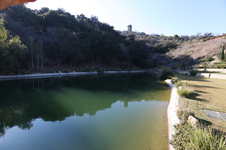Enlarge photo 80