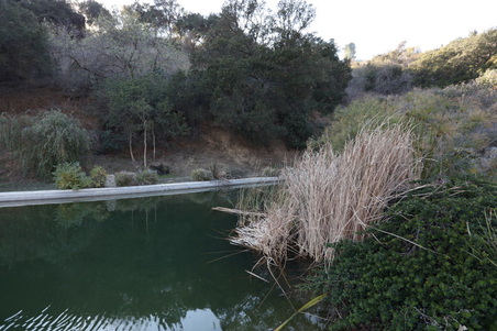 Enlarge photo 82