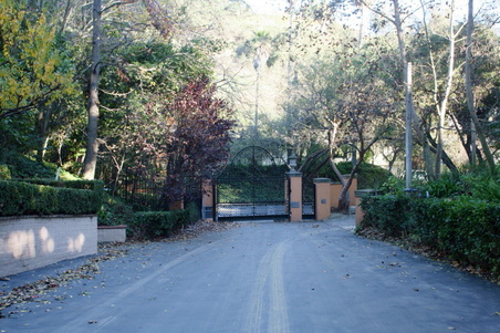 Enlarge photo 91