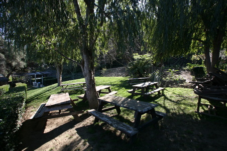 Enlarge photo 108