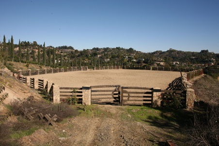 Enlarge photo 119