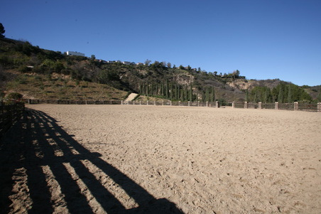 Enlarge photo 120