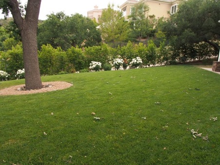 Enlarge photo 36
