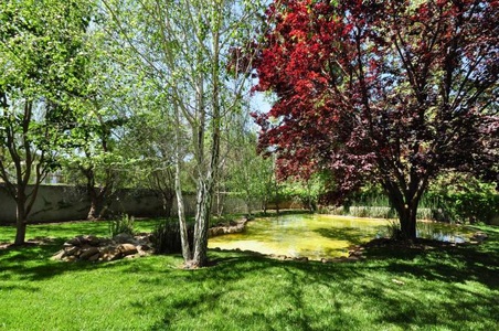 Enlarge photo 74