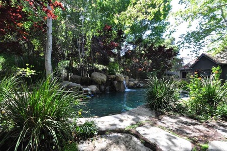 Enlarge photo 82