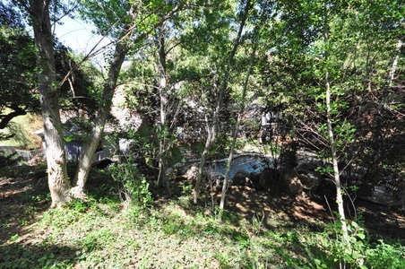 Enlarge photo 85