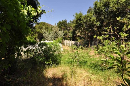 Enlarge photo 94