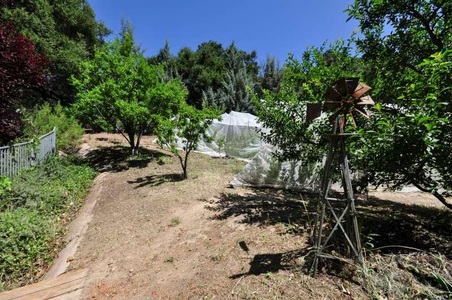 Enlarge photo 96