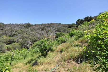 Enlarge photo 108