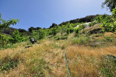 Enlarge photo 110