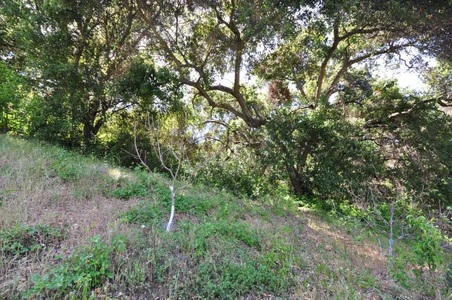 Enlarge photo 111
