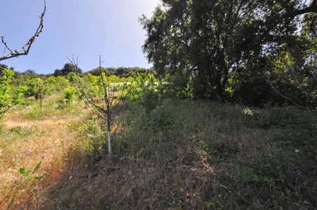 Enlarge photo 112
