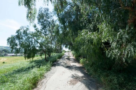 Enlarge photo 7