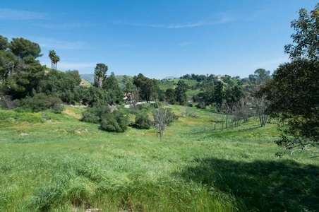 Enlarge photo 78