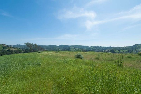 Enlarge photo 80