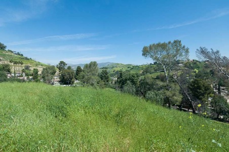Enlarge photo 85
