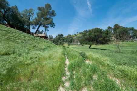 Enlarge photo 91