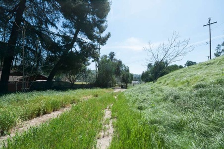 Enlarge photo 93