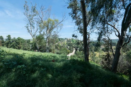 Enlarge photo 94