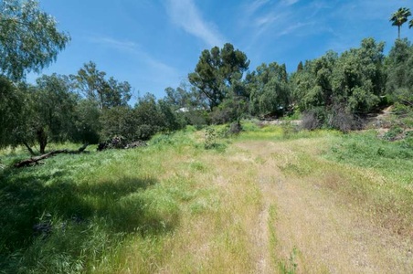 Enlarge photo 95