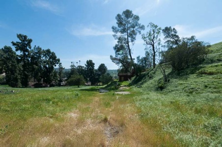 Enlarge photo 97
