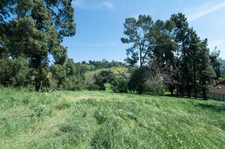 Enlarge photo 98