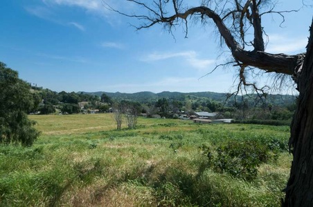 Enlarge photo 104